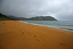 Abel Tasman