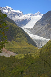Fox Glacier