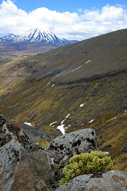Ngauruhoe and Ruapehu