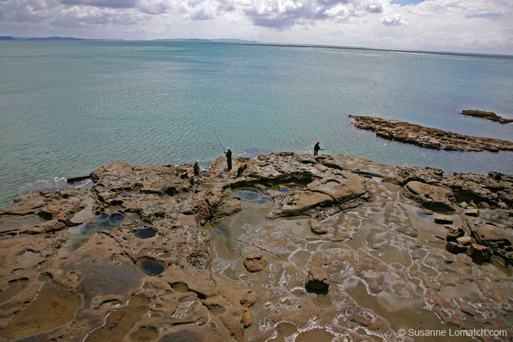 "Tidepool Fishermen"