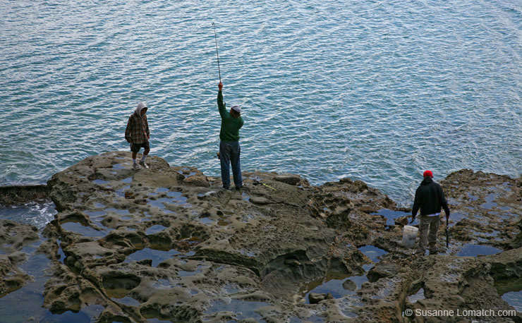 "Tidepool Fishermen, Detail"