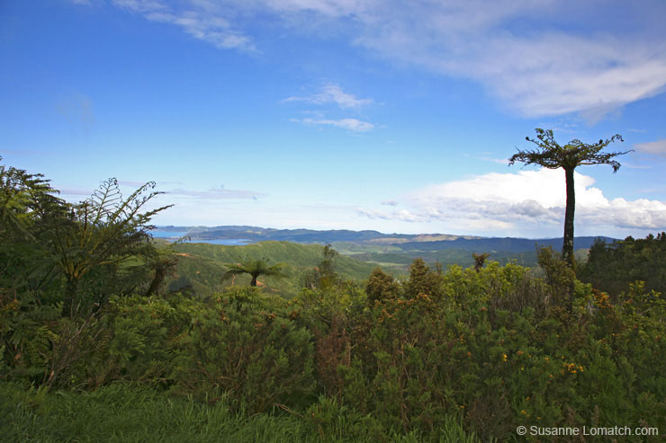 "Coromandel Coast East Highland"