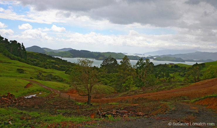 "Coromandel Coast West"
