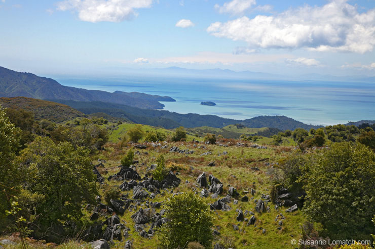 "Tasman Bay From Marble Mountain"