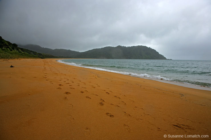 "Totaranui Beach"