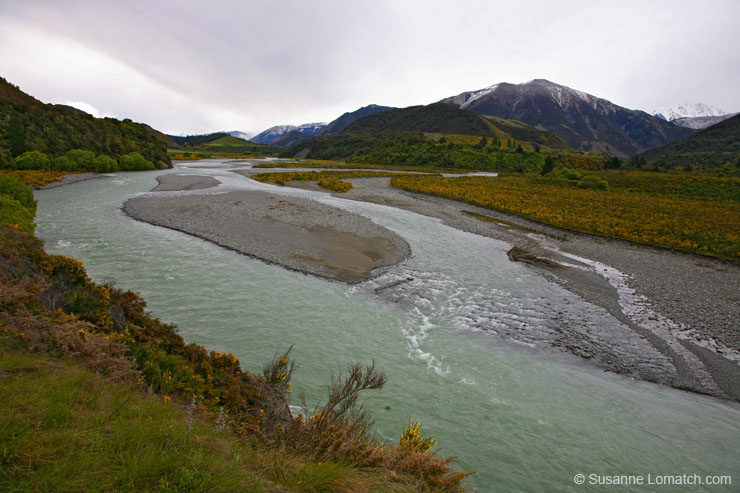 "Idaho or New Zealand?"