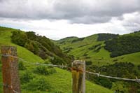 C-CoromandelCountry-1358