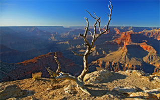 Cedar Ridge Afternoon