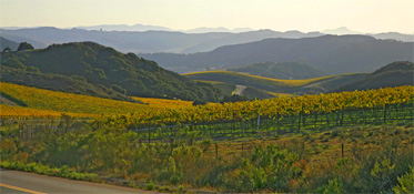 Santa Maria-Los Alamos