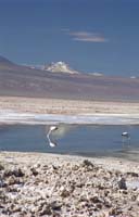 Salt-Flats-Fr21-DI-N-72dpi