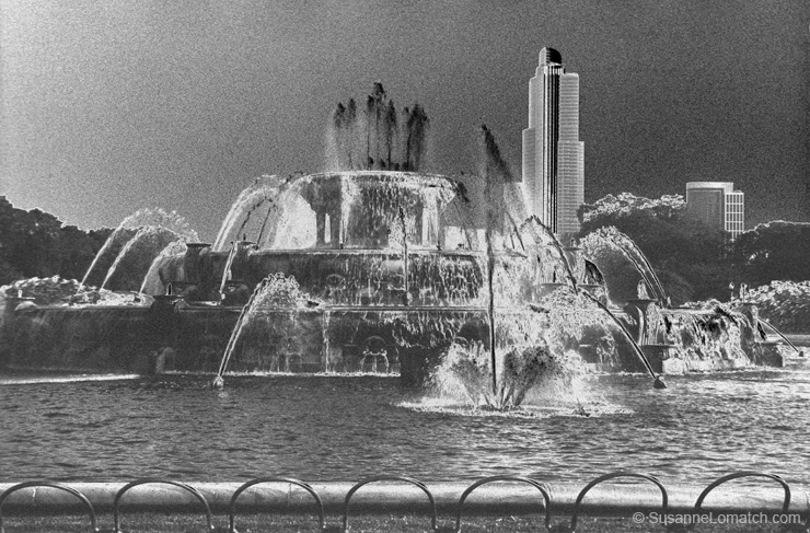 "Buckingham - Study #2"