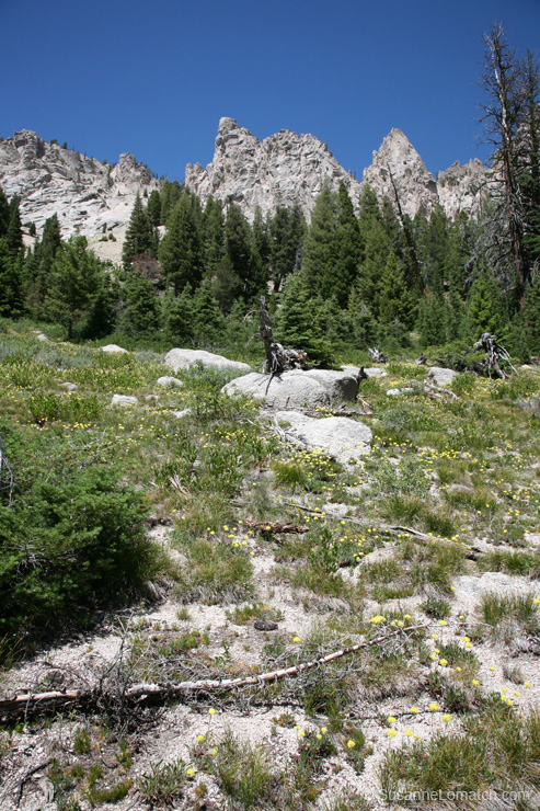 "Monuments Study #4"