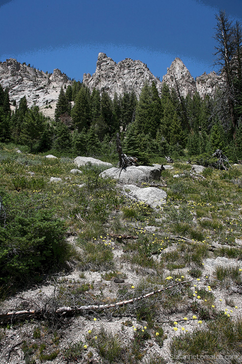 "Monuments Study #4 - Exposure #1"