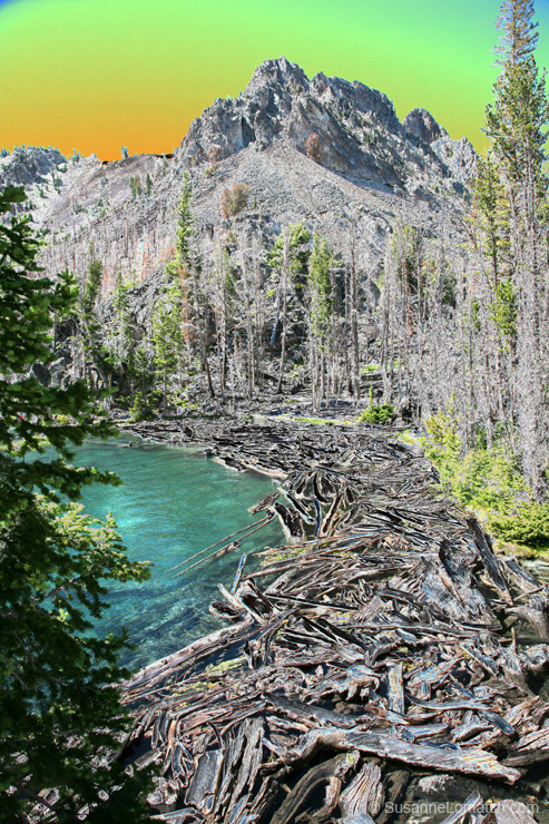 "Log Jam - Exposure #2"