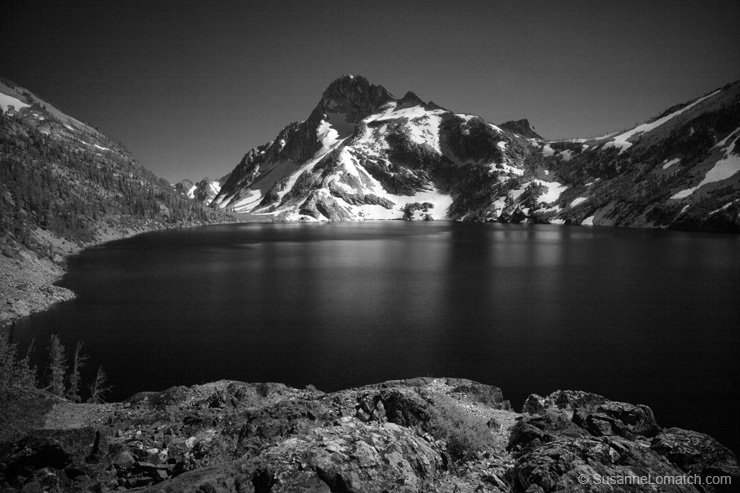 "North End Infrared 2"