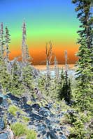 017Far-Away-Exp-0654