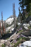 020Dead-and-Alive-0661