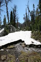 025Snowmelt-0672