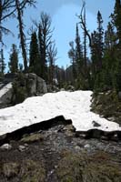 026Snowmelt-Exp1-0672