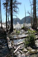 028Lake-in-the-Trees-0703