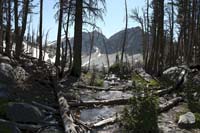 031Lake-Trees2-Exp1-0702