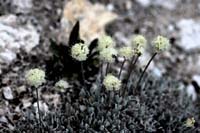 090Almost-Missed-0507