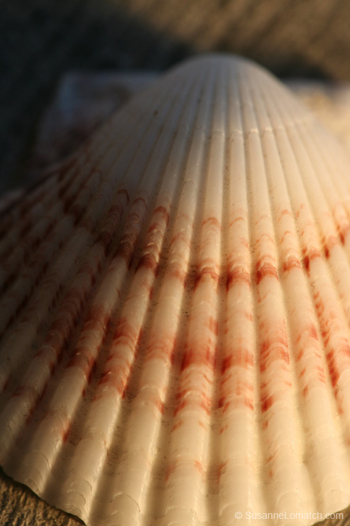 "Architecture - Study #2"