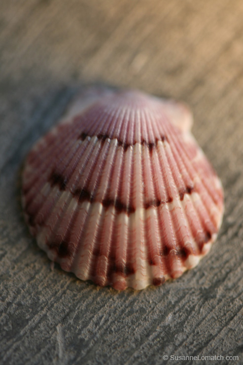 "Architecture - Study #3"