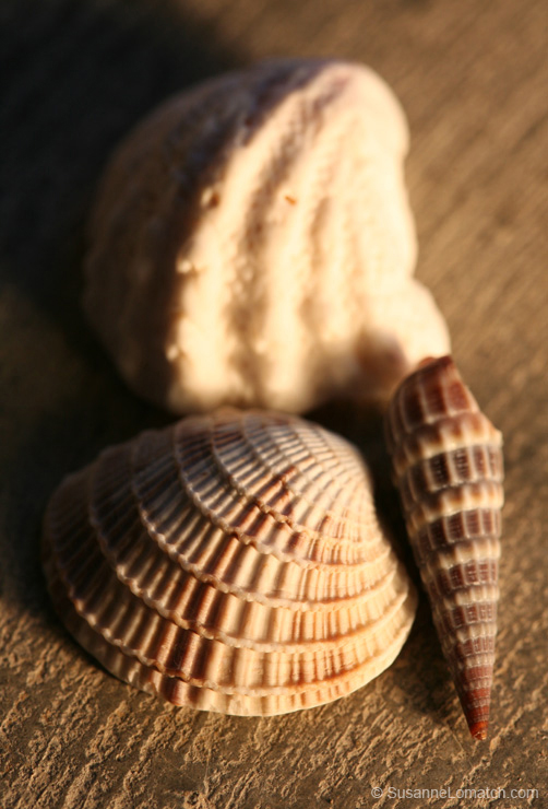 "Architecture - Study #8"