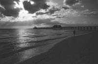 3Naples-Pier-Fr18-Study3