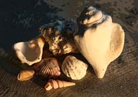 92Contours-Study2-0912