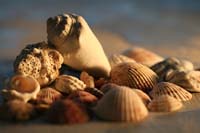 93The-Neighborhood-0968