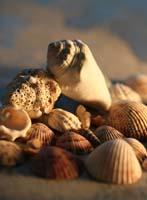 94The-Neighborhood-P#A173F0