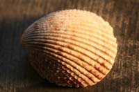 Architecture-Study1-0931