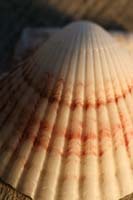 Architecture-Study2-0931