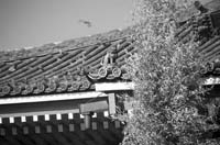 Temple-Relief-Fr6-PS1