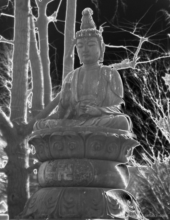 "Solarized Buddha #2"