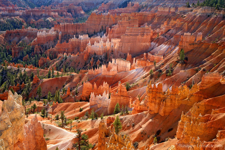 "Ampitheatre Detail #1"