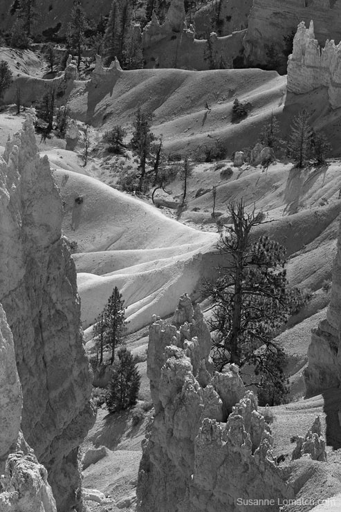 "Ampitheatre Detail #3"