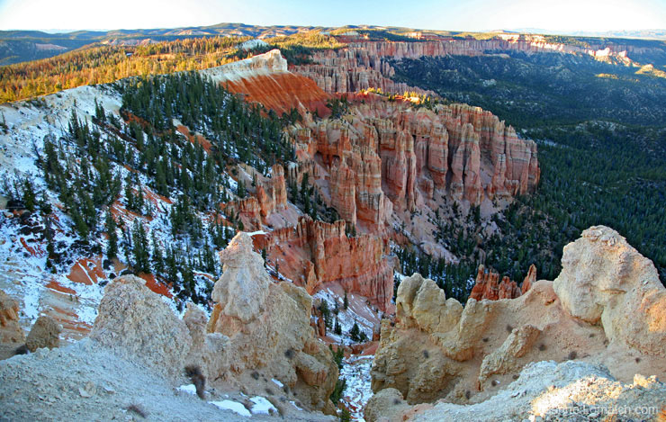 "Fall at Bryce Point"