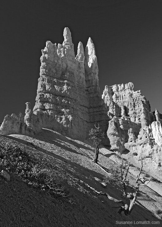 "Hoodoo Spires"