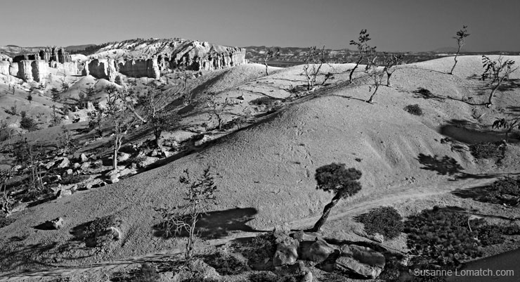 "Terra Cotta Garden"