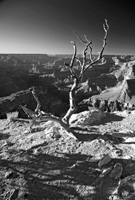 CedarRidgeAftPort-5618-BW2