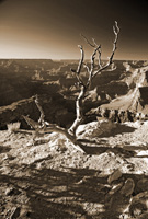 CedarRidgeAftPort-5618-Duo2