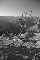 CedarRidgeAftPortBW-5618