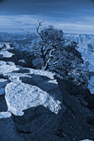 ConvergenceBDuo-5510