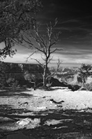 NakedVistaVib-5484-BW2