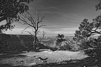 NakedVistaVib-5487-BW1