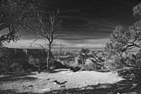 NakedVistaVib-5487-BW2