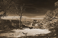 NakedVistaVib-5487-Duo2